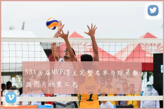 NBA历届MVP得主完整名单与球员数据图片档案汇总