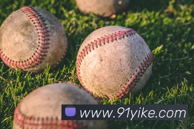 星空网首页入口平台生态图