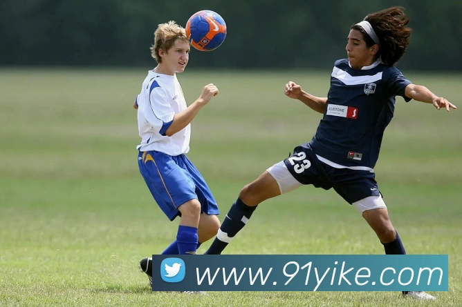 星空网首页入口APP 封面图